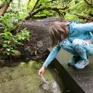 girl tests water quality in creek