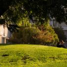 A student reads on a grassy hill at UC Davis.