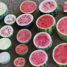 The genome of the domesticated watermelon contains 23,440 genes, roughly the same number of genes as in humans. 