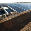 A robot cleans solar panels