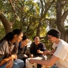 Students laugh under a tree at UC Davis. 