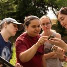 Graduate and undergraduate students look at the bottom of a turtle outside. 