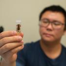 In a laboratory setting, a young man wearing glasses is on the right side of the image and out of focus. He is holding a spider inside a vial, which is in focus to the viewer. He will inspect this spider under a microscope. 