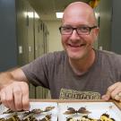 Alex Wild with some pinned butterflies