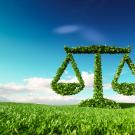 Illustration of justice scale formed of plants in landscape of plants and blue sky