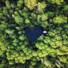 aerial view of forest with heart-shaped lake