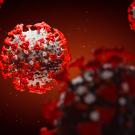 Artistic rendering of SARS-CoV-2 virus