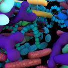 Colorful microbes