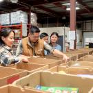 UC Davis researchers have developed a way for food banks to evaluate the way they promote nutrition and healthy. Here, people load food donations into cardboard boxes in a warehouse. (Getty Images)