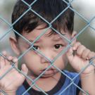Dark-complected toddler pulling on chain-link fence