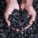 two hands hold scoopful of black coal fragments