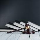 Illustration with gavel and books