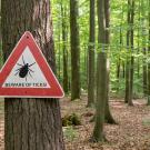 sign warning of ticks posted on tree along forest trail