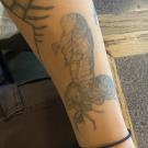 emerging cicada tattoo on arm