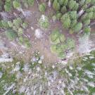 aerial view of forest burn scar shot by drone  