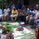 Photo of members of the Horticulture Innovation lab in village in Bangladesh