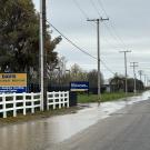 A partly flooded street. On the left is a white rail fence. A sign on the left reads Califonrnia Animal Health and Food Safety Laboratory. 