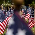American flags arranged in rows