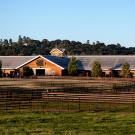 Photo of the main red horse barn at Templeton farms