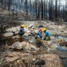 Three researchers, kneeling beside a stream running through a rocky outcropping in a forest, collccting stream water samples,