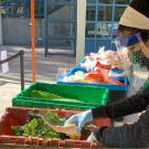 Student wearing face covering pulls vegetables out of large tote.