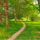 A pleasant beaten path winds through the trees and grasses of Robert Arneson Park in Davis, CA