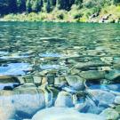 eye level view of clear water and stones of Smith River in summertime