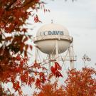 The water UC Davis tower with autumn leaves in the foreground