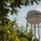"UC Davis" water tower. foliage in foreground