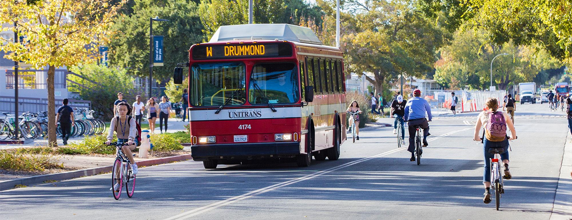 students riding bikes and a Unitrans bus going down a road through campus