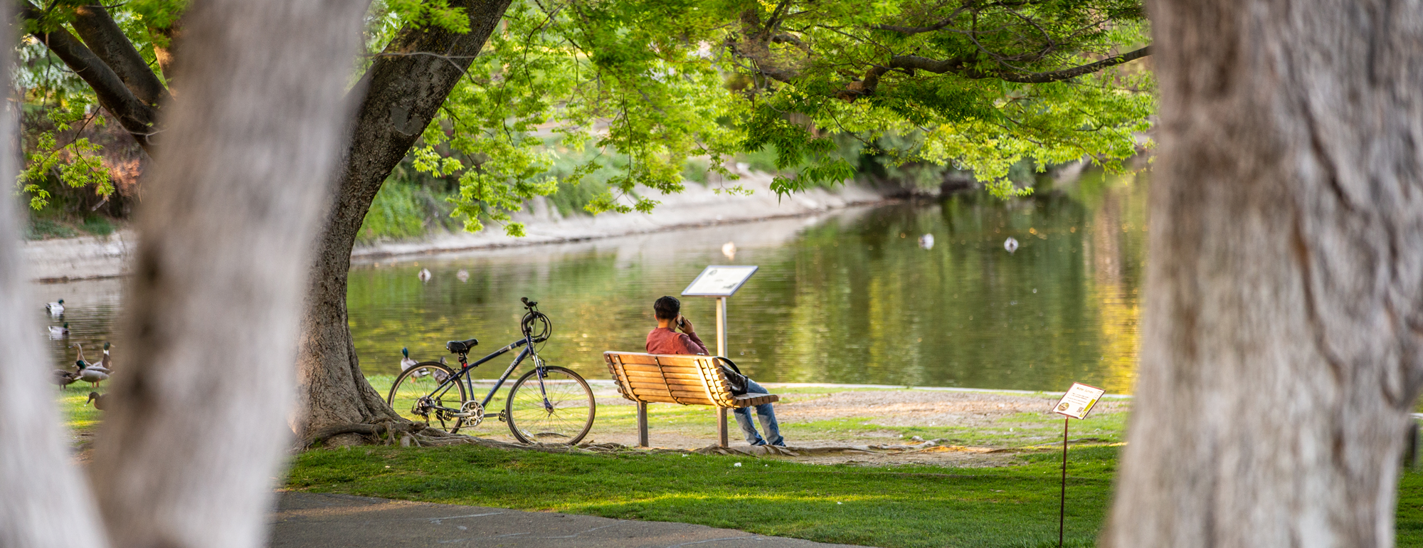 a student sitting on a bench in front of Lake Spafford talking on a mobile phone