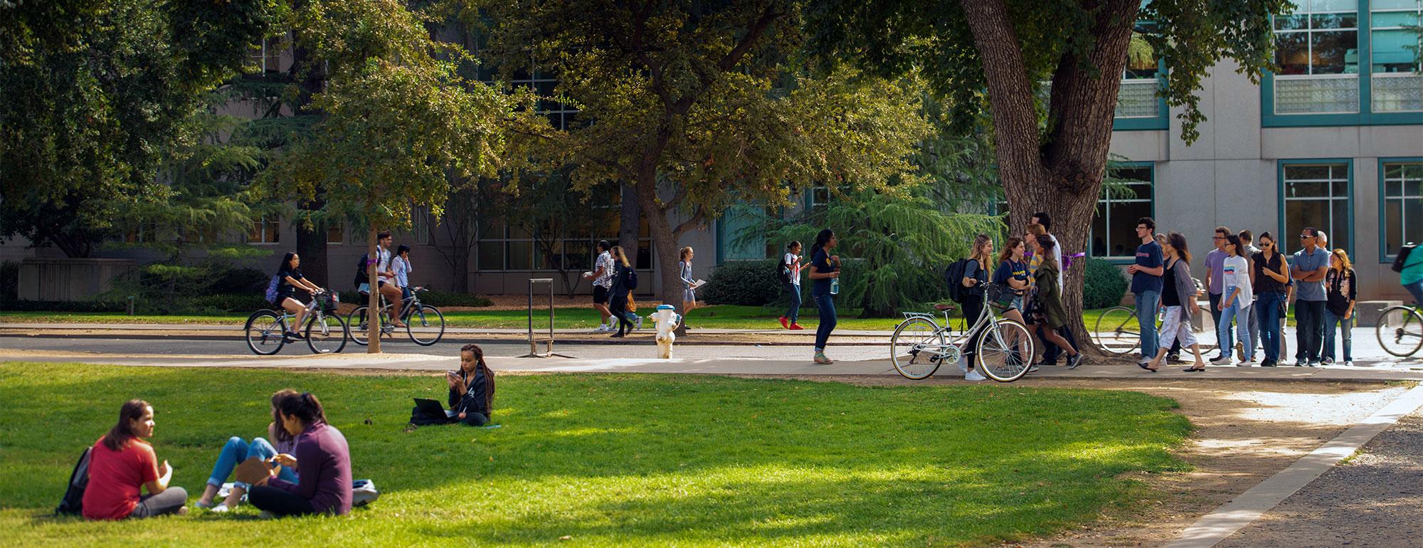 students sitting around enjoying the quad in front of the Shields library.
