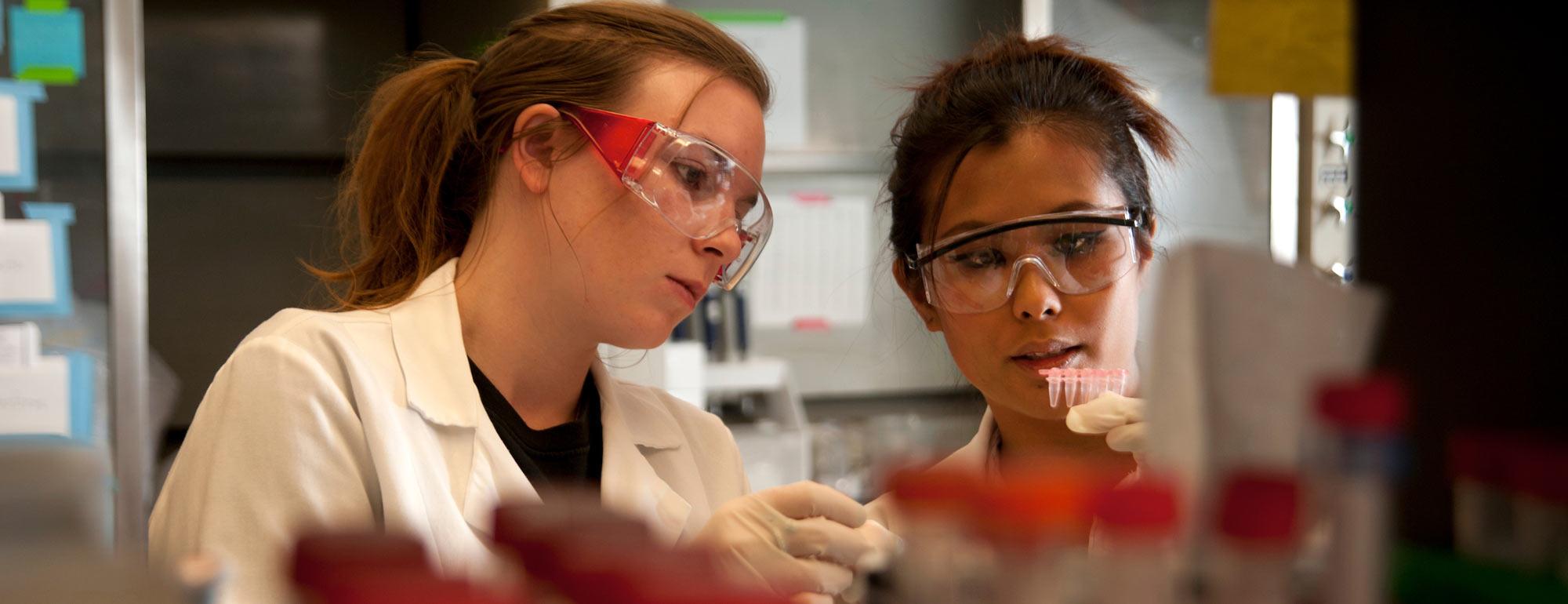 Two female researchers observing lab samples