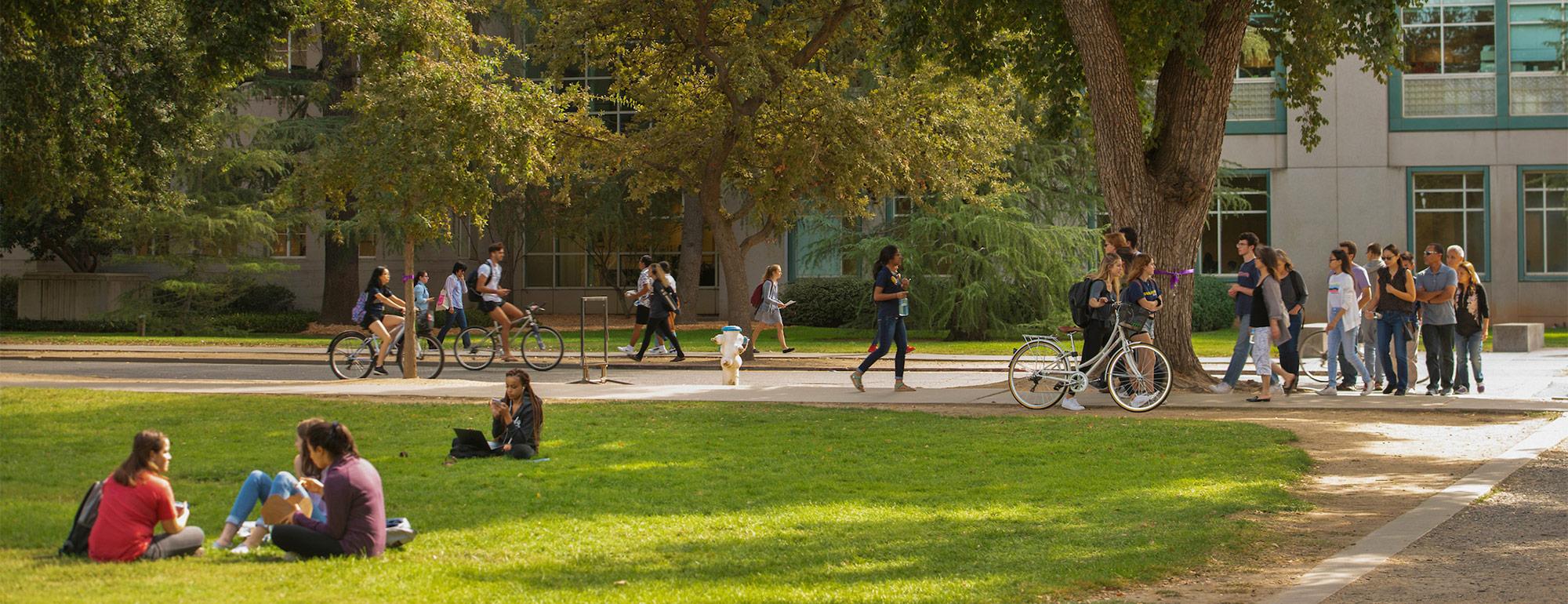 students sitting on the quad in front of Shields Library
