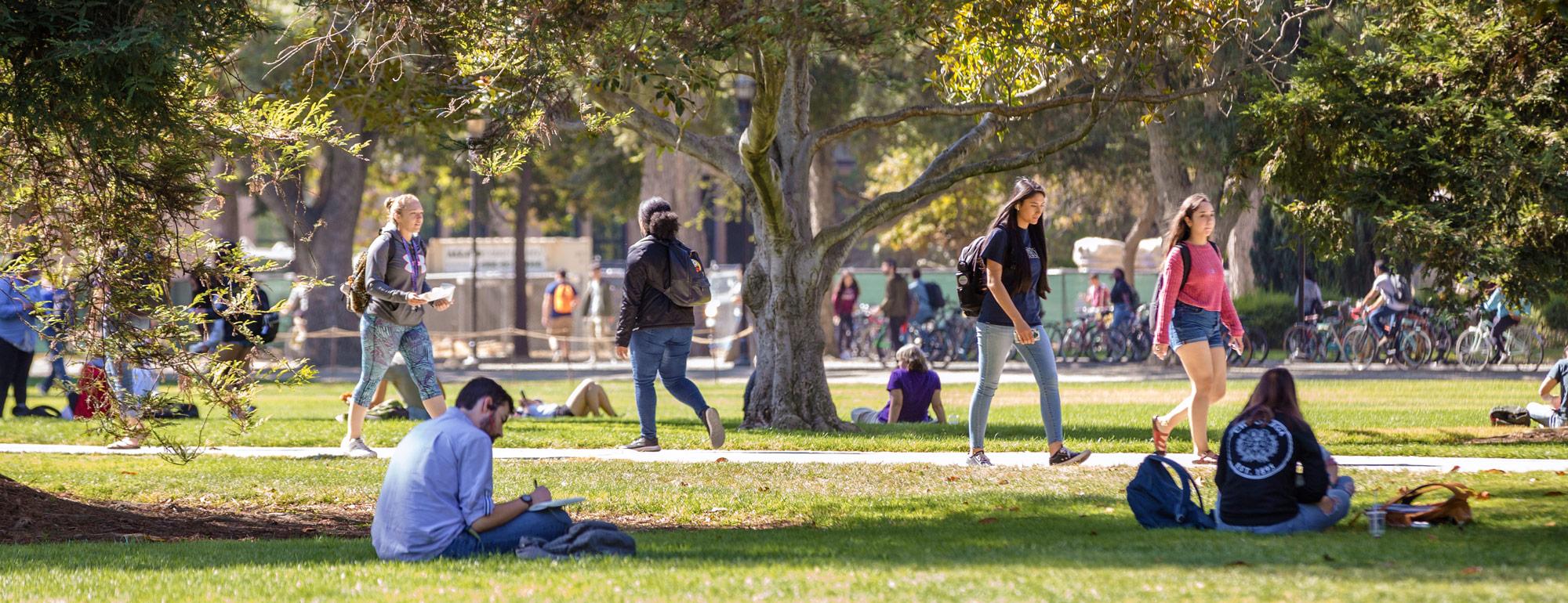 students sitting and walking, enjoying the quad on a sunny day