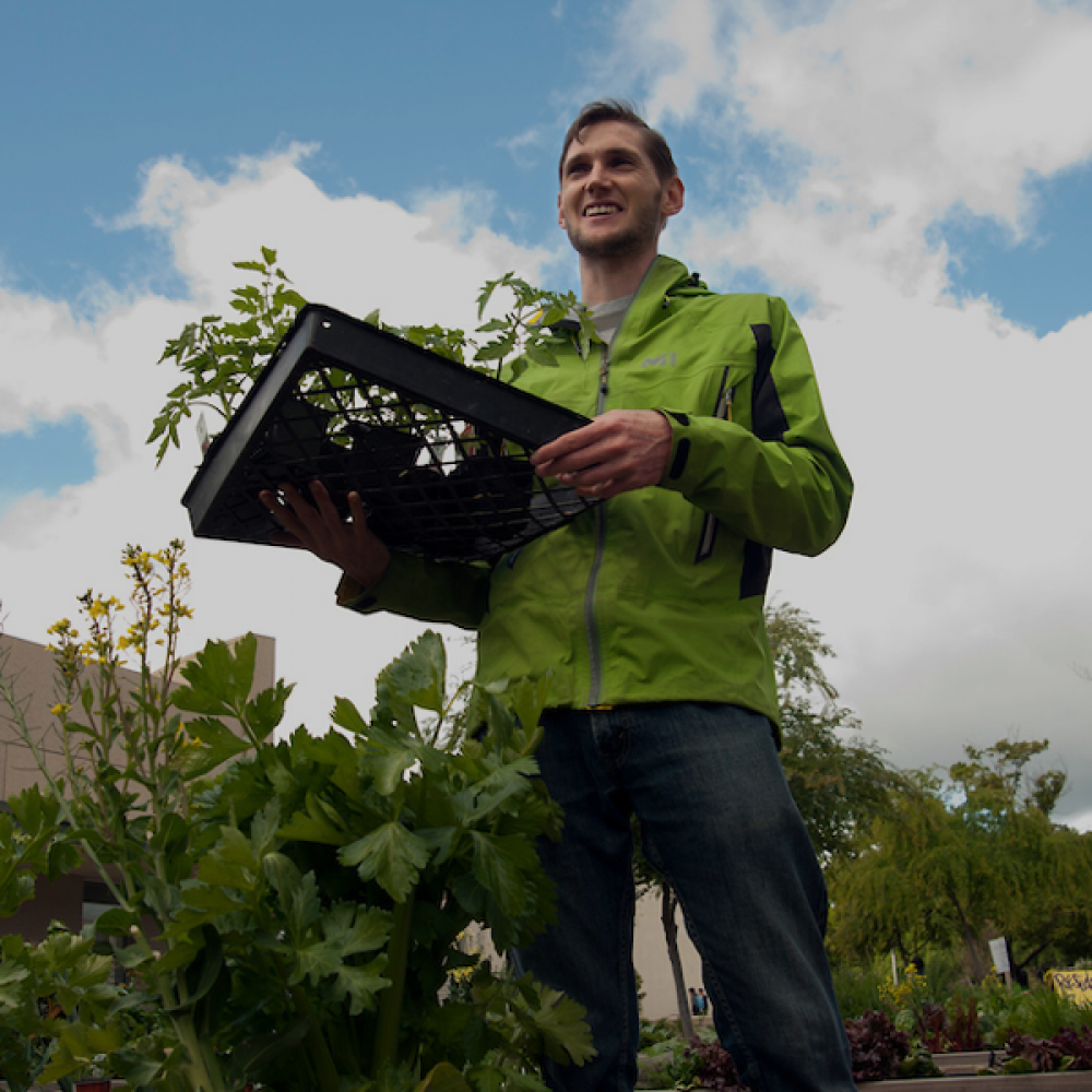 A man holding a tray full of plants