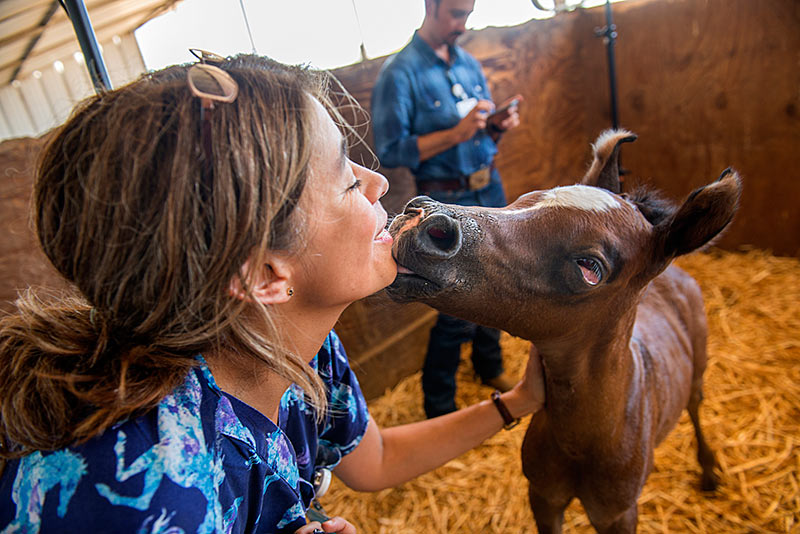 Veterinary neurologist Monica Aleman kisses a baby horse.