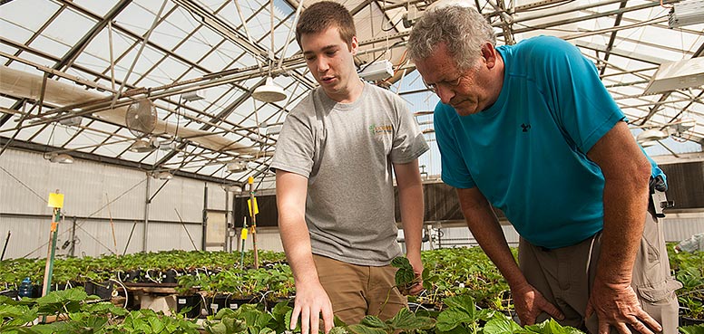 Young man and older man in a greenhouse pointing to plants