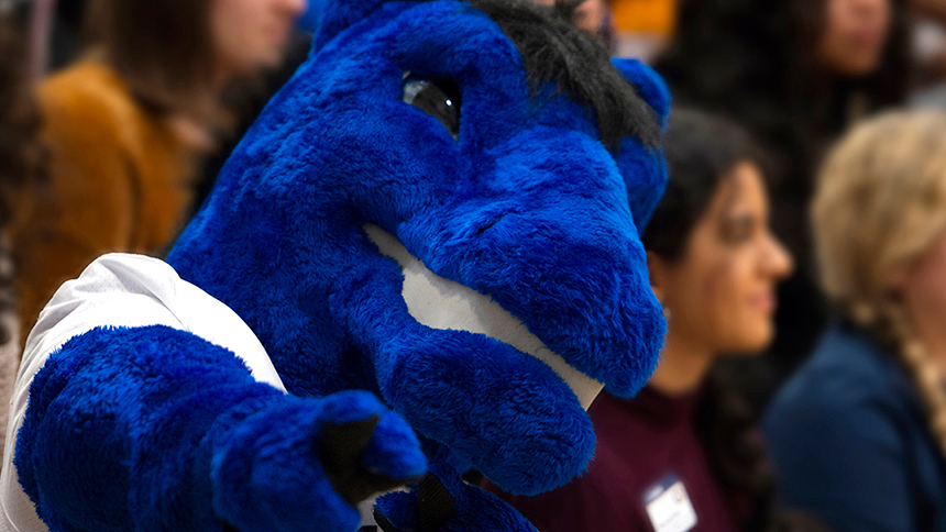 A closeup of the head of Gunrock, the UC Davis mascot