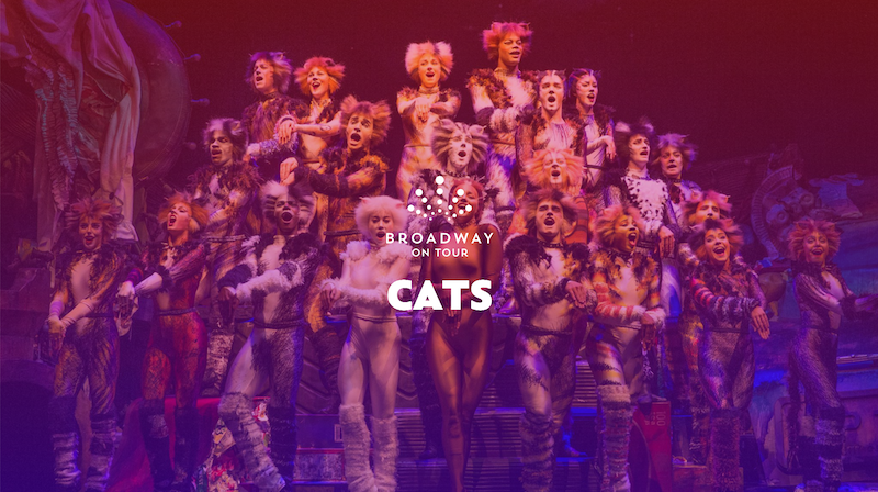 The cast of "Cats" posing on stage.