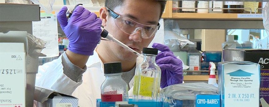 Male student working in lab