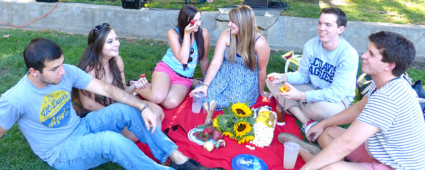 A group of UC Davis students sitting down for a picnic dinner on the lawn