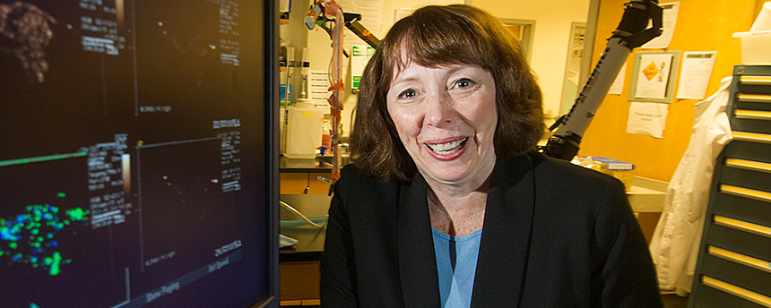 Biomedical engineering professor Katherine Ferarra