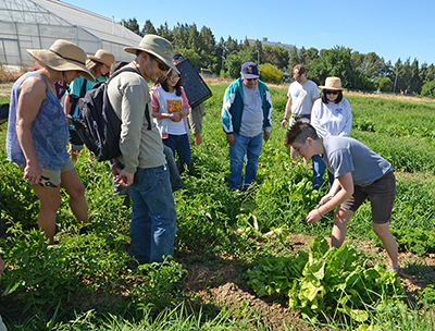 A student demonstrates to volunteers how to harvest produce 