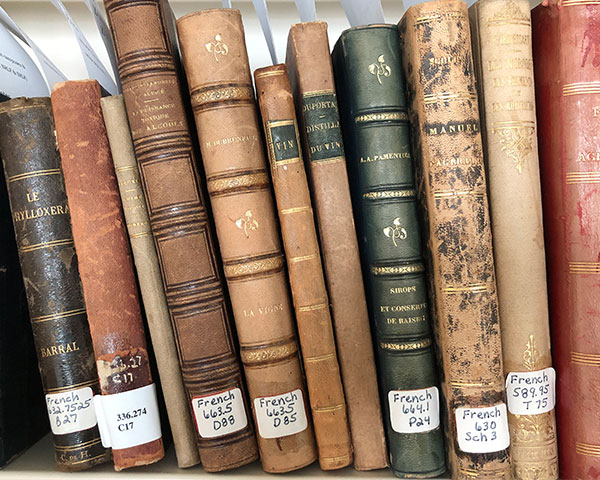 Rare books on a shelf