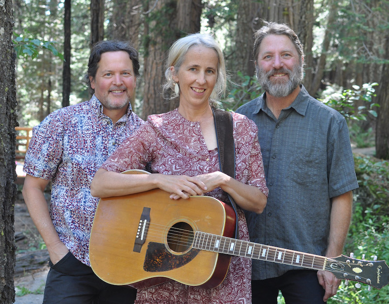 The Rita Hosking Trio standing in the woods.