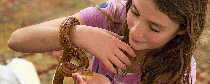 Girl handling snake