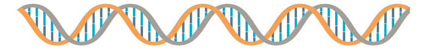 dna illustration